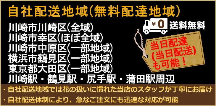 川崎市川崎区(全域)、川崎市幸区(ほぼ全域)、川崎市中原区(一部地域)、横浜市鶴見区(一部地域)、東京都大田区(一部地域)、川崎駅・鶴見駅・尻手駅・蒲田駅周辺へは自社配送にて送料無料でお届けいたします。当日配達(当日配送)も承ります。