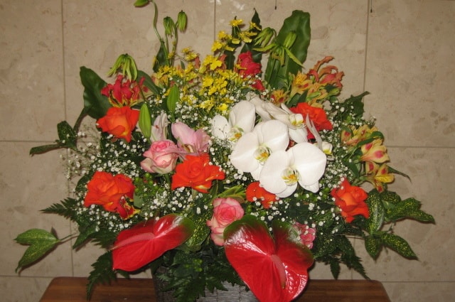 すべての美しい花の画像 上ラゾーナ 川崎 花屋